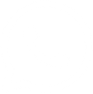 feature-icon